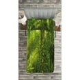 thumbnail image 3 of Ambesonne Plant Quilted Bedspread Set 2 Pcs, Tranquil Exotic Place, Twin Size, Apple Green, 3 of 3