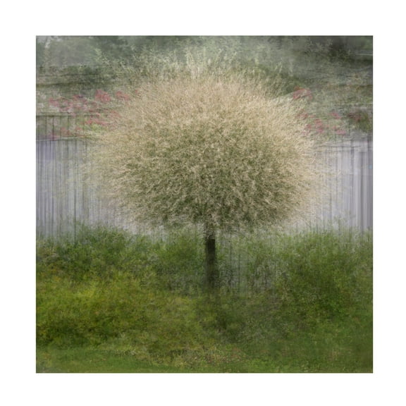 Canvas Wall Art - Delphine Devos 'In Front Of The Fence' Wall Art for Living Room, Bedroom, or Office Décor by Trademark Fine Art - 14 x 14 Inches
