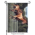thumbnail image 2 of Mother Horse and Foal Baby Fresh Start Garden Yard Flag, 2 of 4