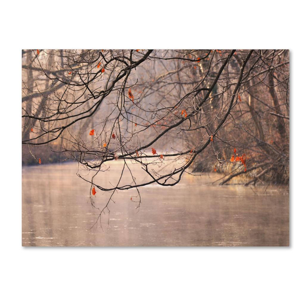 Trademark Fine Art "Skylight" Canvas Art by Philippe Sainte-Laudy