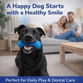 thumbnail image 3 of Dual-Action Canine Dental Prop, Bite and Brush Dental Toy for Dogs, Dog Dent𝐚𝐥 Chew Toy for Easier Teeth Brushing, for Daily Home Use, for Small Medium Large Dogs (3pcs), 3 of 8