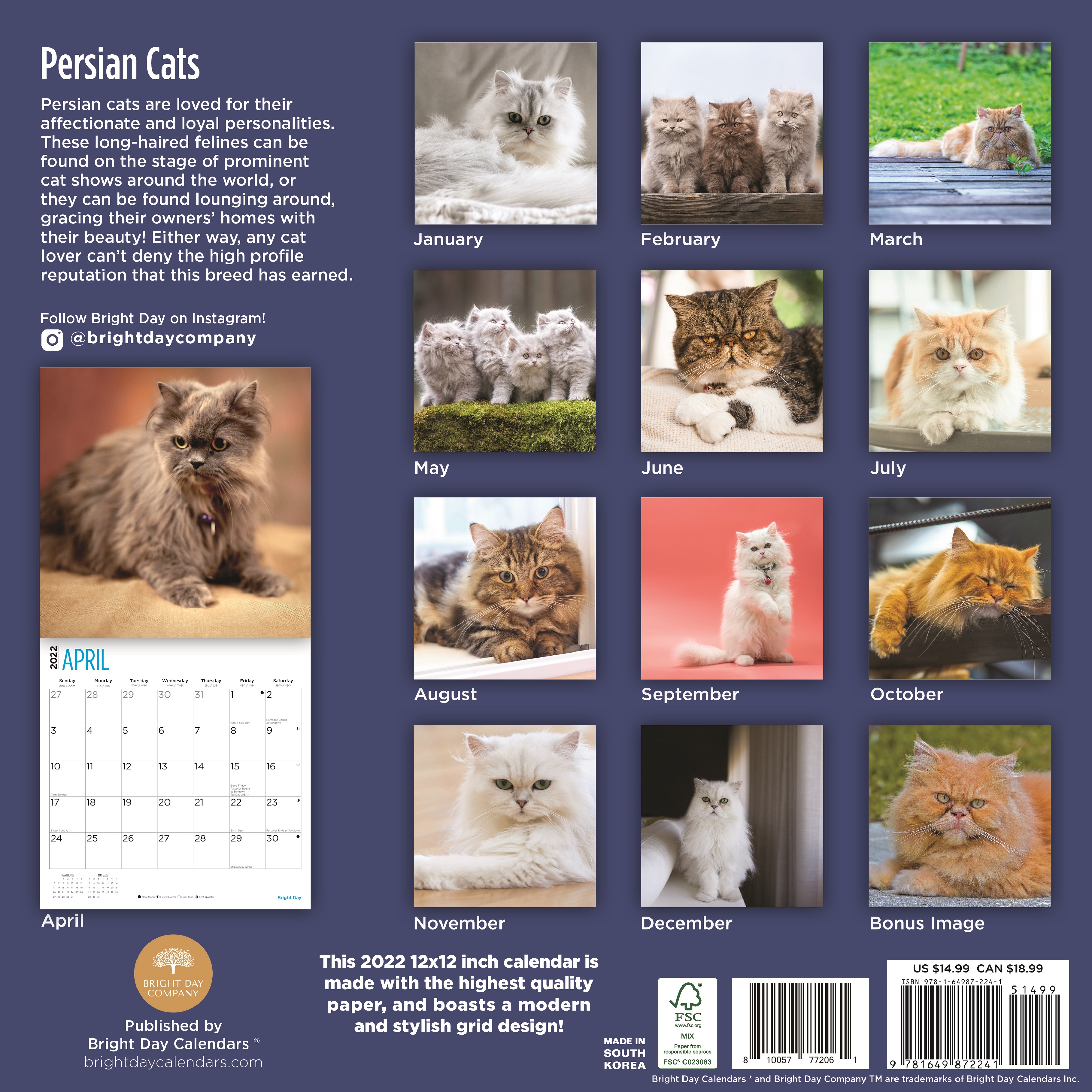 Calendrier Persan 2023 2022 Persian Cats Wall Calendar By Bright Day, 12 X 12 Inch - Walmart.com