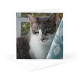 thumbnail image 5 of 3drose, Serious Grey and White Cat Teal Curtain, 12 Greeting Cards with Envelopes, 5 of 7
