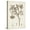 Canvas, variant on Art.com Antique Sepia Botanicals I Art Print by 0 Unknown, 12" x 16"