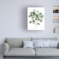 thumbnail image 3 of Melissa Wang 'Windy Eucalyptus II' Canvas Art, 3 of 3