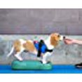 thumbnail image 5 of FitPAWSÂ® K9FITbone CanineGymÂ® Dog Balance Training Platform â€“ Regular, Aqua Blue, 5 of 5