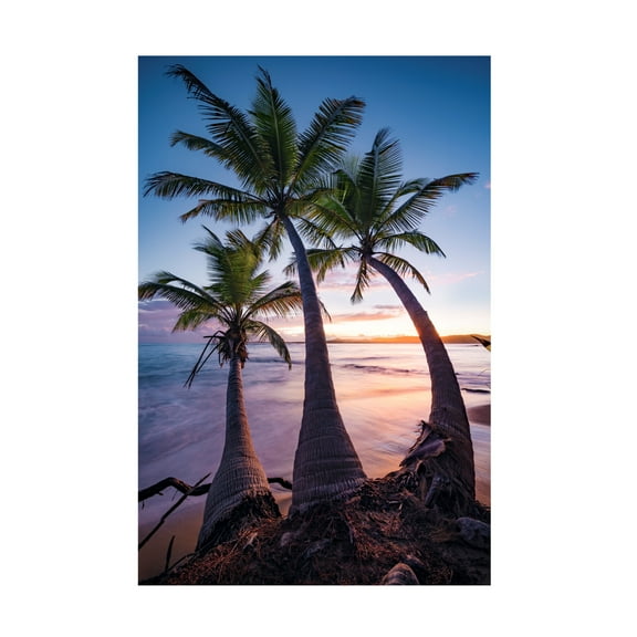Trademark Fine Art Stefan Hefele Palmy Twilight Canvas Wall Art