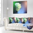 thumbnail image 5 of DESIGN ART Designart 'Beautiful White Painted Rose' Floral Throw Blanket, 5 of 5