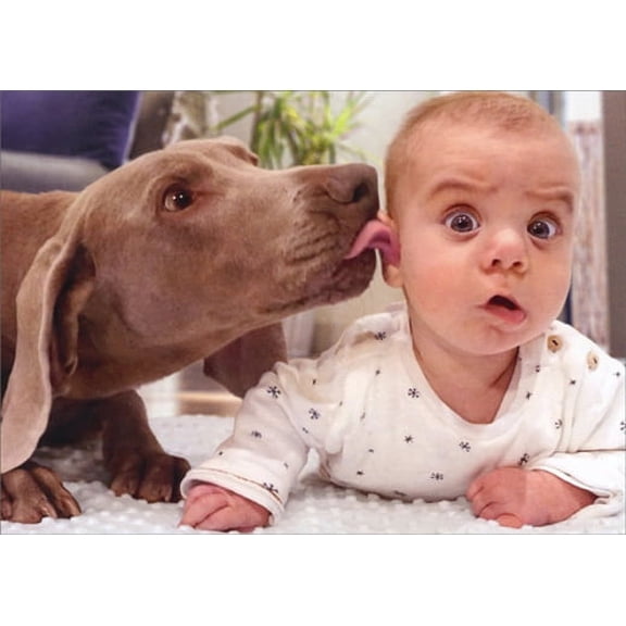 Avanti Press Dog Licks Baby's Ear Funny / Humorous Birthday Card
