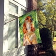 thumbnail image 2 of Carolines Treasures BB9880CHF Cocker Spaniel St Patricks Flag Canvas House Size  Large multicolor, 2 of 4