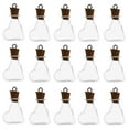 thumbnail image 4 of WHAMVOX  30 Pcs Shaped Shot Bottles with Lids Friends and Family Gift Wish, 4 of 8