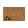 thumbnail image 1 of Felwors Decorative Door Mat Bathroom Welcome Mat Door Mat Floor Mat, 1 of 6