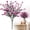 B, variant on YardChic 1Pc Artificial Simulation Camellia Eucalyptus Flowers, 7-Fork Connected Fake Eucalyptus Leaves Greenery Stems for Indoor Outdoor Bouquet Centerpiece Home Office Wedding Decor