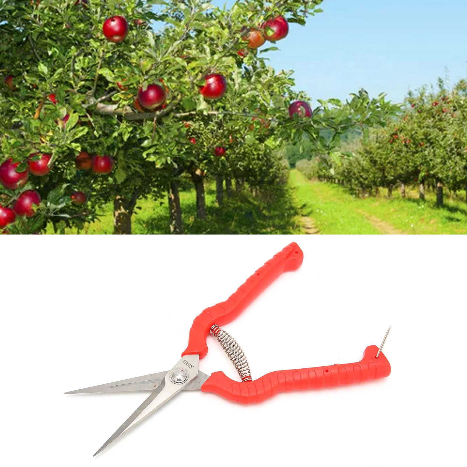 Pruning Shears, Gardening Hand Tool Plant Shears Garden Pruning Shears Garden Snips Garden Tools Trimming Scissors  for Home Garden Yard Farm