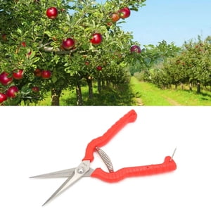 Pruning Shears, Gardening Hand Tool Plant Shears Garden Pruning Shears Garden Snips Garden Tools Trimming Scissors  for Home Garden Yard Farm