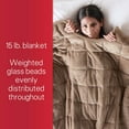 Sunbeam Weighted Blanket 15 Pounds, Reversible Plush Velvet/Microfiber with Arm Slits and Neck