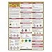 thumbnail image 3 of How To Read A Safety Data Sheet (SDS/MSDS) Poster, 24 x 33 Inch, UV Coated Paper (Poster), 3 of 4