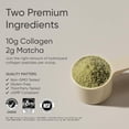 thumbnail image 2 of Sports Research Péptidos de colágeno premium en polvo y té verde Matcha orgánico - Suplemento de proteína de colágeno en polvo con Matcha japonés y aminoácidos - Sin gluten, sin OGM, sin azúcar, 2 of 5