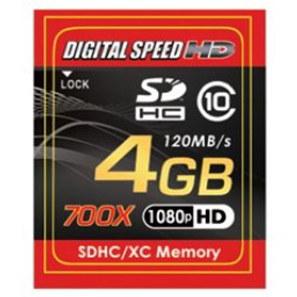 Digital Speed 4GB 700X Professional High Speed 120MB/s Error Free (SD