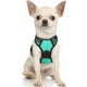 thumbnail image 1 of Rabbitgoo Arnés para Perros, Arnés para Mascotas sin Tirones con 2 Clips para Correa, Chaleco para Perros Acolchado Suave y Ajustable, Chaleco Oxford Reflectante para Mascotas sin asfixia con asa de f, 1 of 4