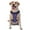 With Accessories, variant on Vsdgher Labrador Retriever Dog Pattern Dog Harness,No Pull Pet Harness with Soft Padded Handle,Adjustable Reflective Vest with 2 Buckles,4 Slide Buckles,S-XL Medium