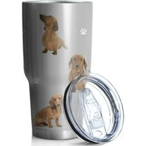 Funny Dachshund Dog Tumbler Gift for Women/Men,Double Wall Stainless Steel Vacuum Insulated Pet Water Botter Cups with Lid and Straw,30oz