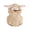 Beige Sheep, variant on Svuitmsl Newborn Baby Girl Halloween Lamb Costume Infant Sheep Cosplay Outfit Kids Fall Winter Clothes Cute Warm Fleece Hooded Sleeveless Romper