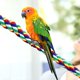 thumbnail image 3 of 2 Pieces Toy Bird Rope Perches Climbing Rope Bungee Bird Toys Rope Perch Stand Cage Rope Comfy Perch Parrot Toys for Parrot, Parakeets Cockatiels, Conures, 3 of 5