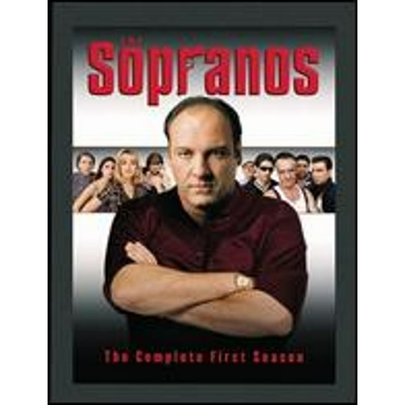 Pre-Owned The Sopranos: The Complete First Season [4 Discs] (DVD 0883929368204)