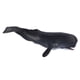 thumbnail image 5 of Figura De Animal Marino, Aprendizaje De Simulación De Modelo De Animal Marino Realista Para Niños, 5 of 7
