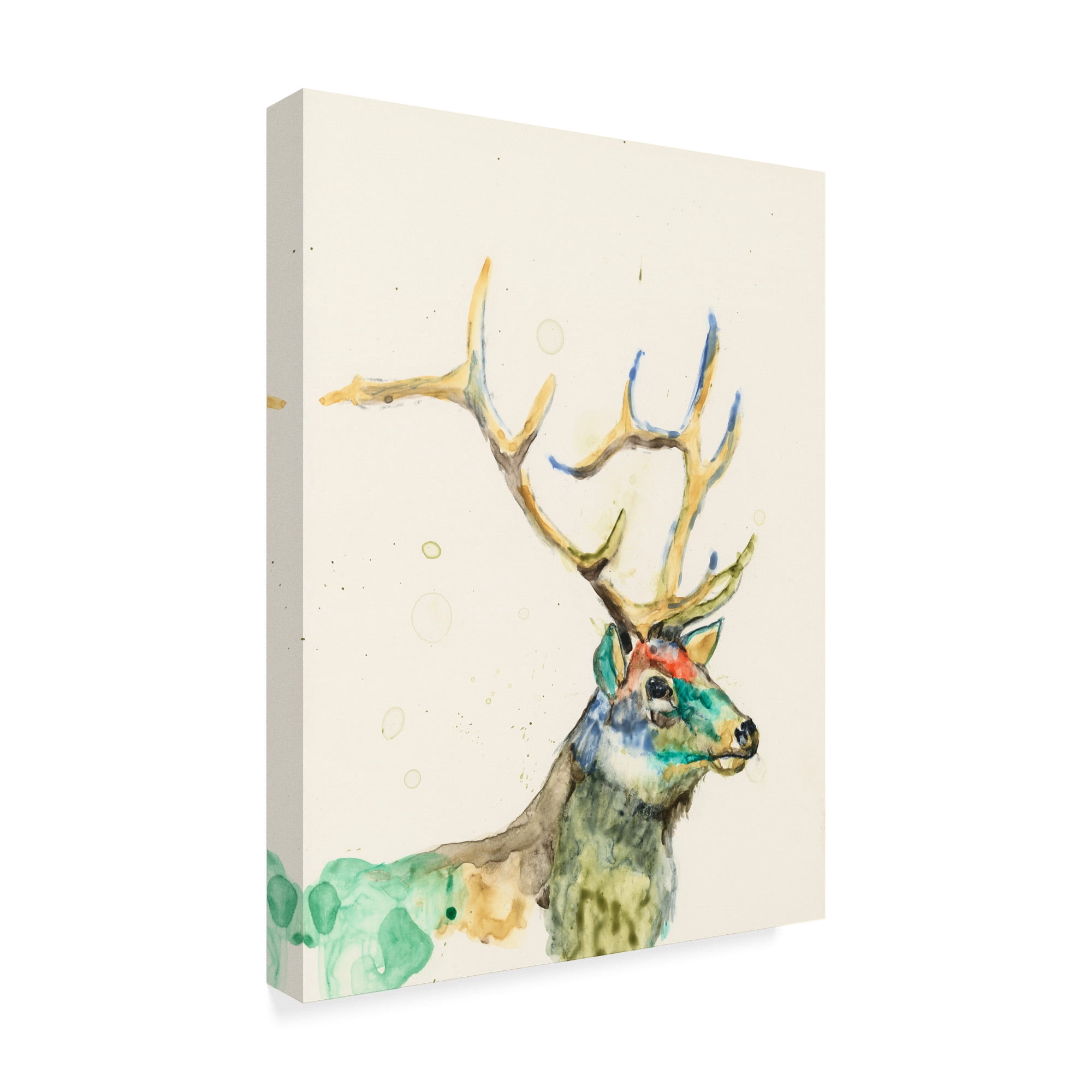 Trademark Fine Art 'Hi Fi Wildlife III' Canvas Art by Jennifer Goldberger