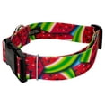 thumbnail image 3 of Country Brook Petz® 1 1/2 inch Deluxe Summer Melon Dog Collar, Medium, 3 of 5