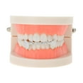 thumbnail image 2 of Unique Bargains 1 Set Fake Teeth Grills Fashion Fangs for Hip Hop Gift Silver Tone, 2 of 6