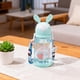thumbnail image 4 of Botella de agua para conejos 600ml | Bote de pajita mono con tapa abatible, correa | Plástico resistente a fugas, Resistente a Agua, Azul, Rosa, Verde, Púrpura | Boca ancha, portátil, fácil de, 4 of 6