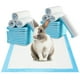 thumbnail image 1 of Fiudx Almohadilla Absorbente para Orina de Mascotas, Núcleo Absorbente de 6 Capas, Diseño a Prueba de Fugas, para Entrenamiento de Cachorros, para Conejos y Gatos, para Uso En Interiores y Exteriores, 1 of 5