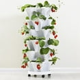 thumbnail image 2 of Strawberry Planter Flower Pot Pp Stackable Multi-Layered Diy Portable Pp Three-Dimensional Three-Petal Flowerpot, 2 of 14