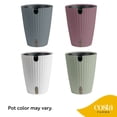 thumbnail image 5 of Plants with Benefits by Costa Farms 12" Sansevieria Superba House Plant in 6" Self-Watering Pot, 5 of 7