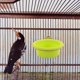 thumbnail image 1 of unbranded Bañera Para Pájaros Con Estructura Estable Y Material Higiénico Para Cuidado Diario, 1 of 8