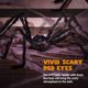 thumbnail image 3 of Set de telarañas de Halloween para exteriores JOYIN Spider de 5 pies, 5 x 4,8 m, 3 of 9