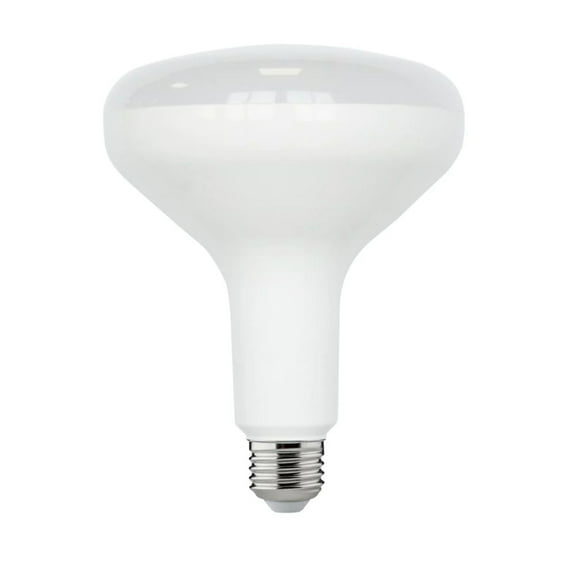 EcoSmart 75-Watt Equivalent BR40 Dimmable ENERGY STAR LED Light Bulb Daylight (2-Pack)