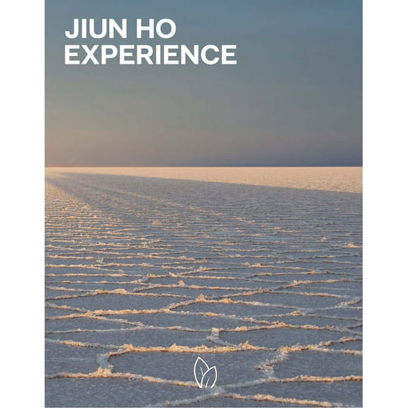 Jiun Ho : Experience (Hardcover)