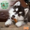 thumbnail image 5 of Nylabone Healthy Edibles All-Natural Long Lasting Puppy Chew Treats Turkey & Sweet Potato Small (8 Count), 5 of 10