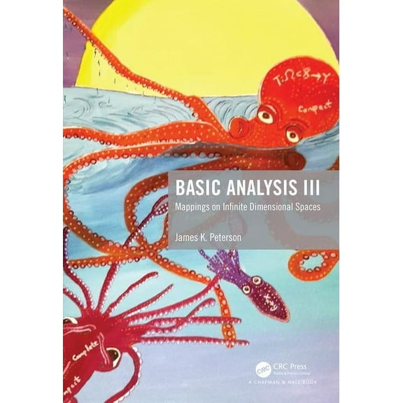 Basic Analysis III: Mappings on Infinite Dimensional Spaces, (Hardcover)