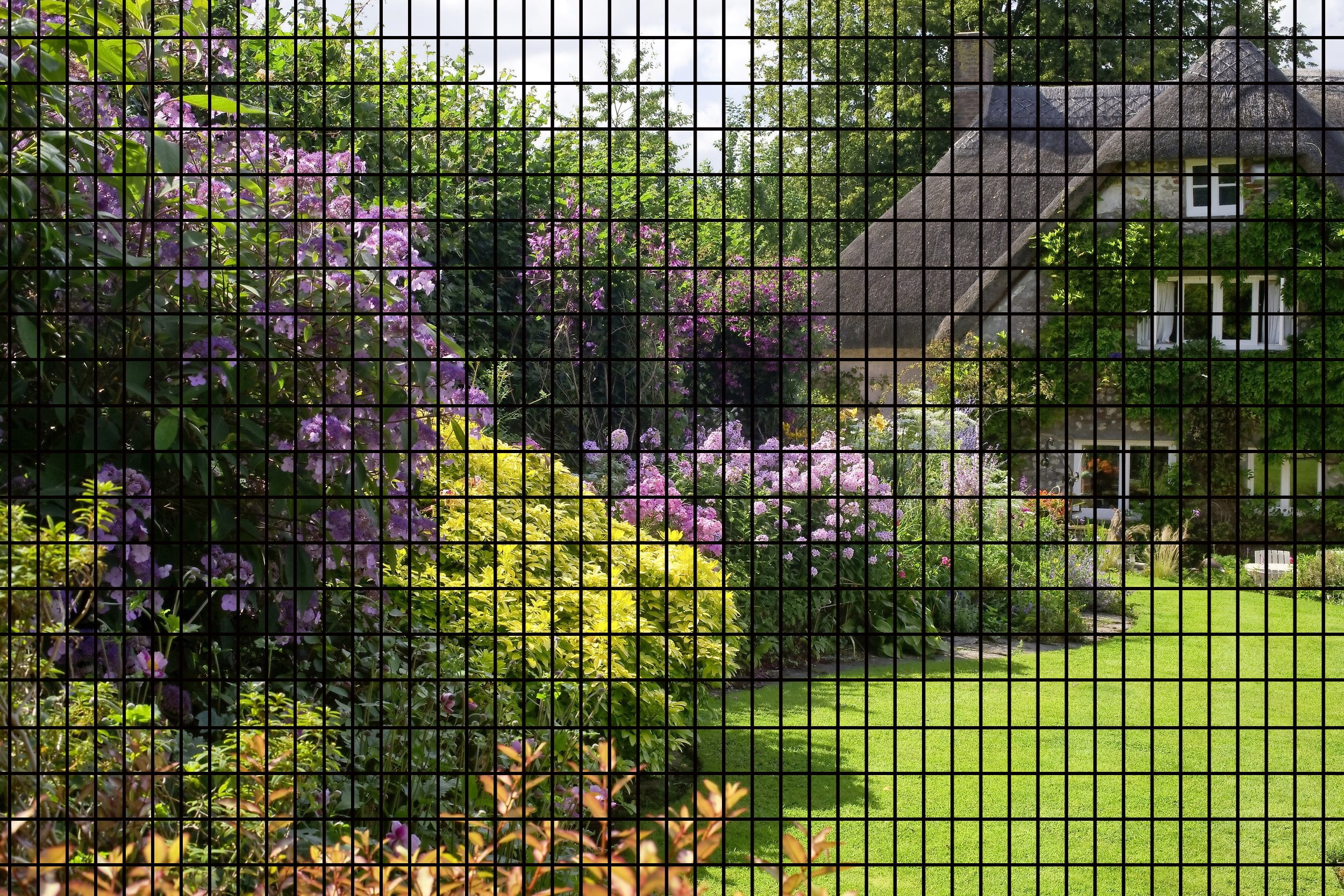 36inch x 50ft Black Vinyl Coated Hardware Cloth 2" X 3" 16Ga Welded Wire Mesh fence, PVC Coated Welded Chicken Wire Fencing, Metal Garden Plant Fencing, for Chicken Coop and Home Improvement