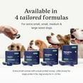 thumbnail image 5 of Petlab Co. - ProBright Dog Dental Powder – Innovative Dog Teeth Cleaning - Tailored for Extra Small Sized Dogs, 5 of 8