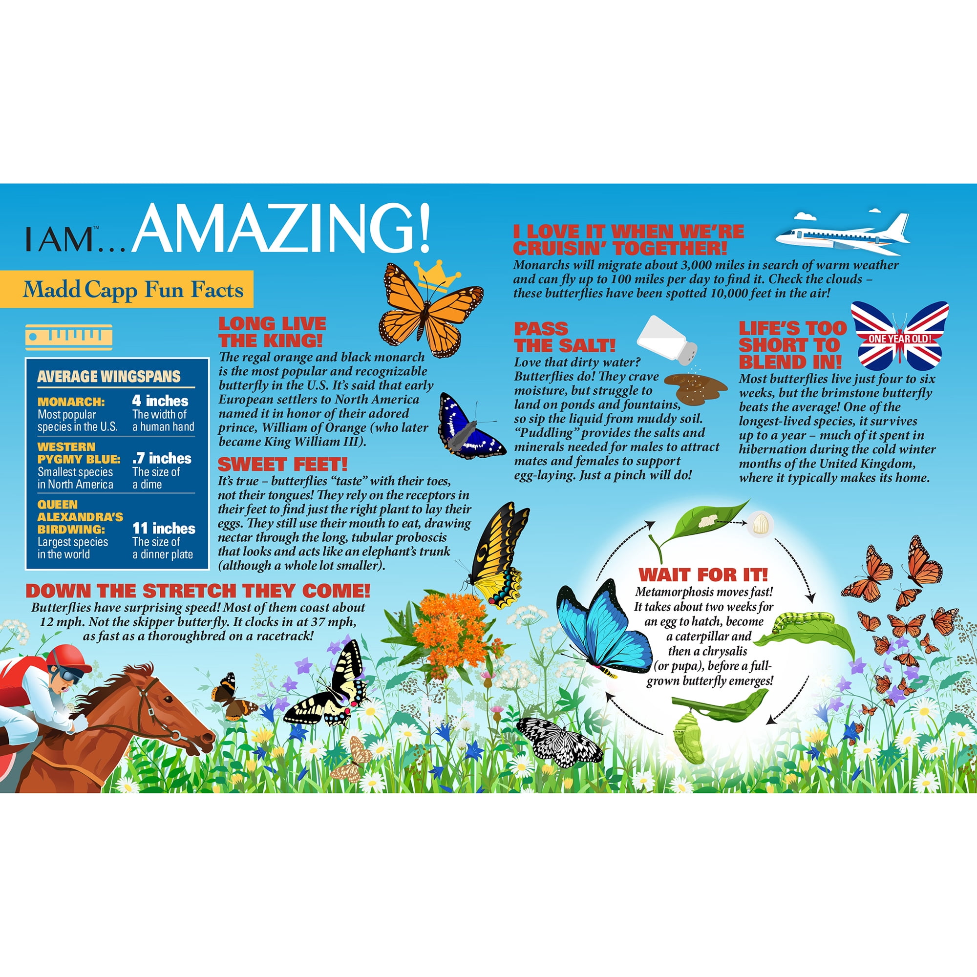 I Am Butterfly Jigsaw Puzzle, 300 Pieces