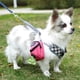 thumbnail image 1 of Dispensador portátil de bolsas para excrementos de perro con bolsillos | Soporte para bolsas de desechos de mascotas para exteriores, para correa o cinturón | Accesorio para mascotas ideal p, 1 of 2