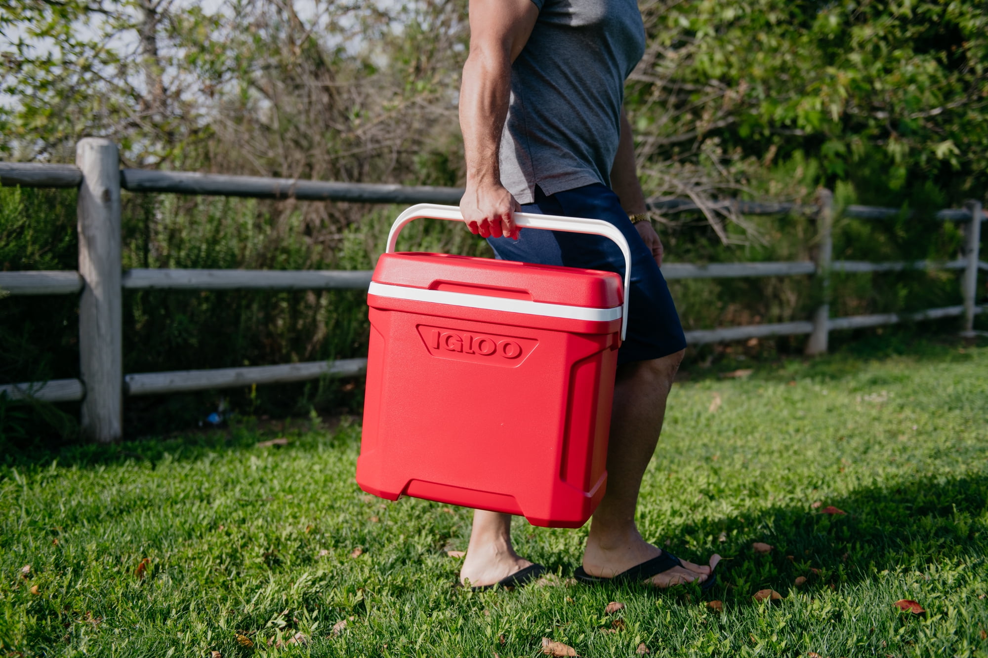 Igloo 30 qt. Profile II Series Ice Chest Cooler - Red