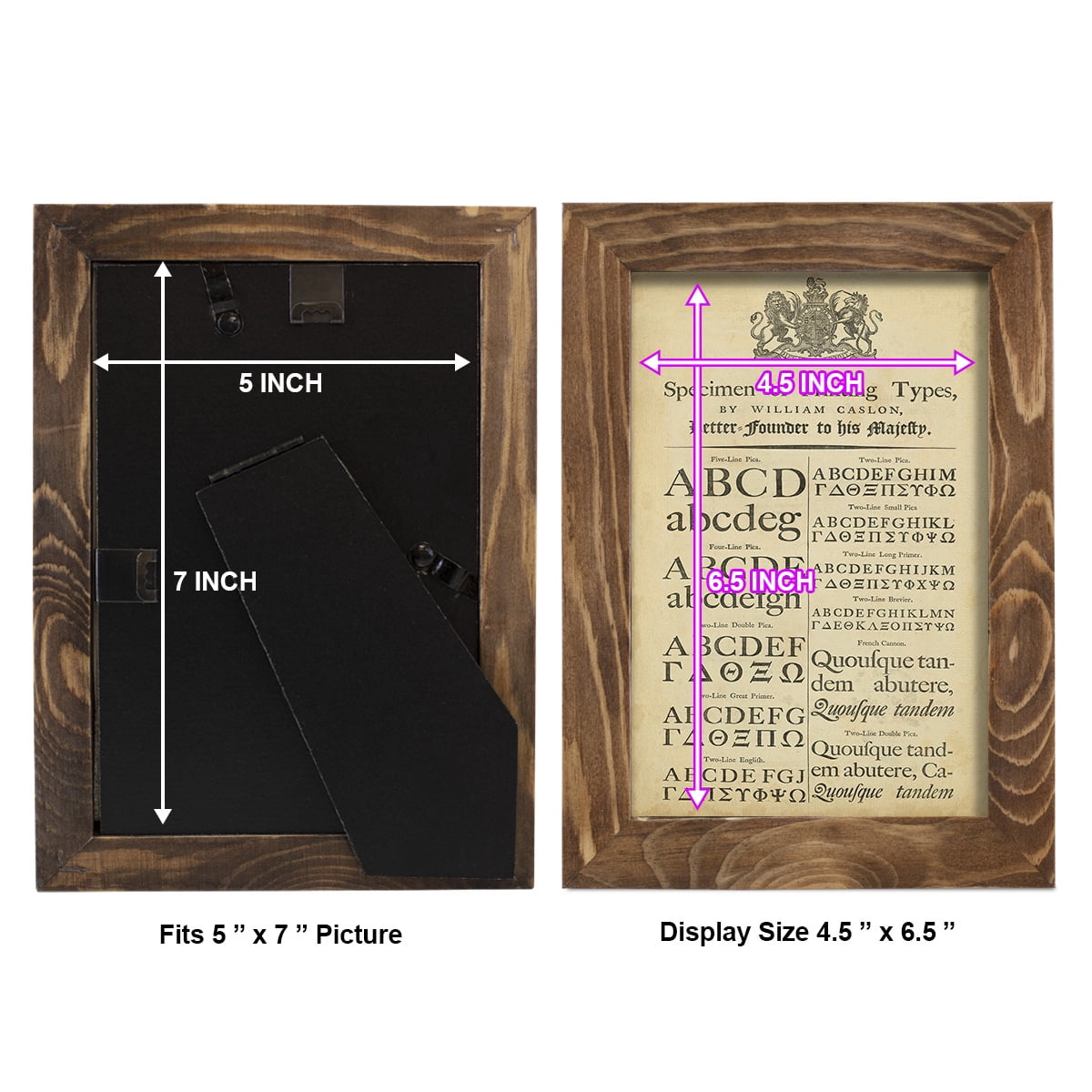 Encyclopediae VI -Framed Print w/glass-Walnut