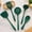 Green-GN, variant on Silicone Kitchen Utensils, 5-Piece Cooking Set, Spatula Spoon Ladle, Non-Scratch Heat-Resistant Tools for Baking Frying